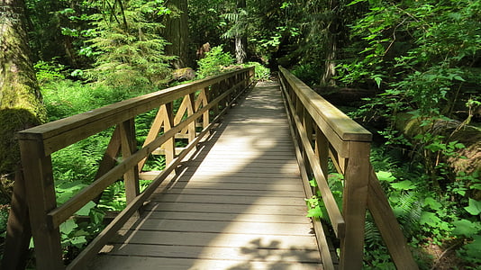 brown wooden bridge thumbnail