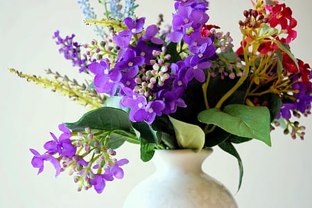bouquet of purple and red flower thumbnail