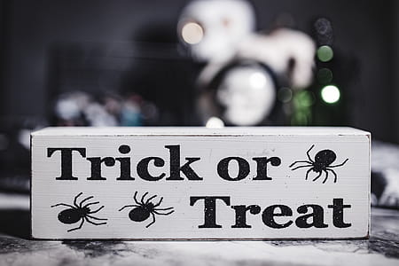 Halloween Decorations thumbnail