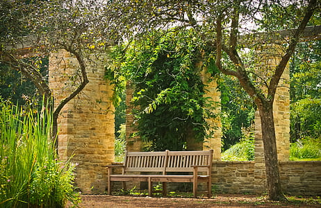 Bench Between the Two Trees thumbnail