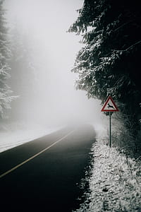 road covered by fog during daytime thumbnail