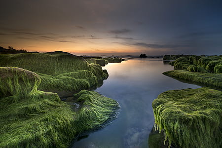 body of water between green grass fields thumbnail