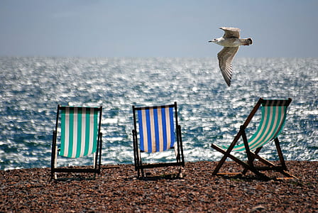 3 Green and Blue Beach Chairs on Brown Sea Shore thumbnail