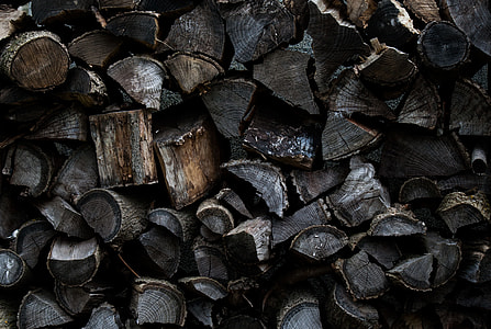closeup photography of gray firewood lot thumbnail