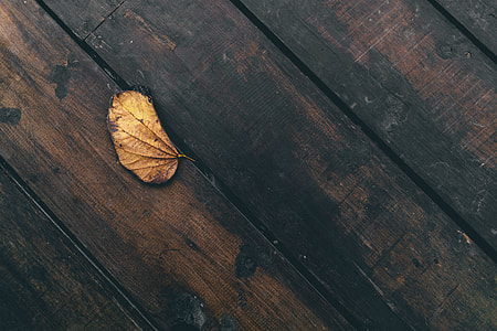 dried leaf on brown plank thumbnail