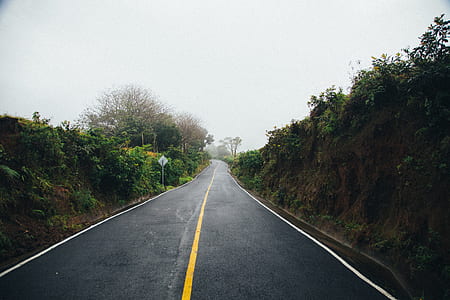 concrete road between trees thumbnail