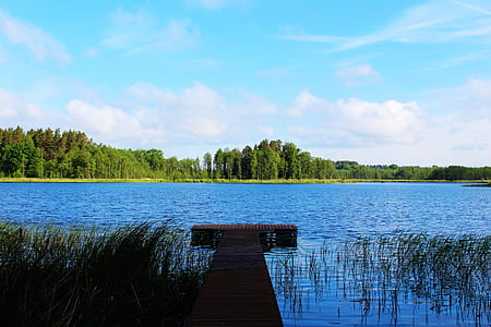 photo of pier on body of water thumbnail