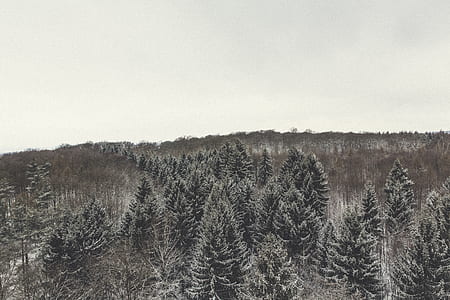 cold, snow, landscape, nature thumbnail