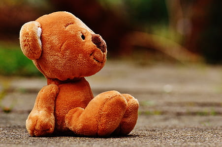 shallow focus photography of brown bear plush toy on ground thumbnail