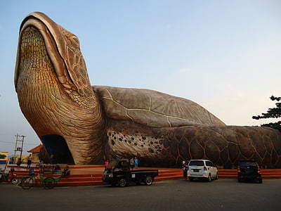 vehicles near huge giant turtle art installation under clear skies thumbnail