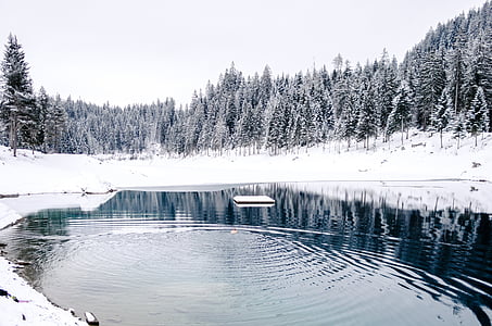 calm body of water thumbnail