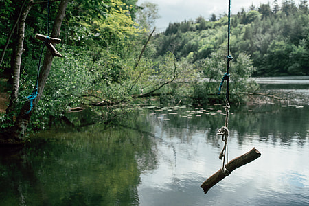 Rope swings on lake thumbnail