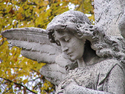 stone angel statue near yellow leafed tree thumbnail