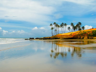 beach shore with tropical trees under cloudy sky during daytime thumbnail