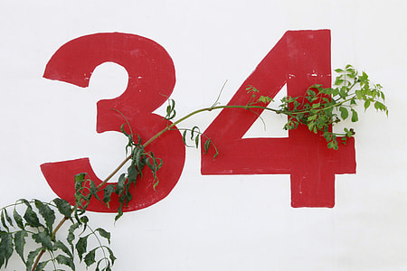 wall with 34 paint and green plant thumbnail