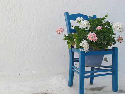 white and pink petaled flowers on blue wooden chair pot thumbnail