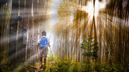 child wearing blue backpack walking towards forest thumbnail
