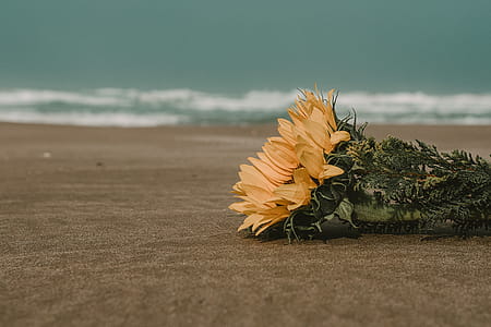 landscape, nature, sky, sand thumbnail