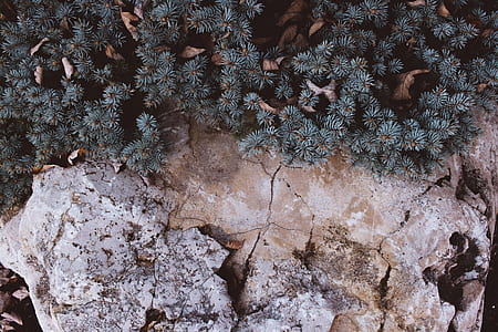 aerial view, drone, from above, rock thumbnail