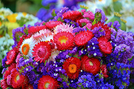 red gerbera bouquet thumbnail