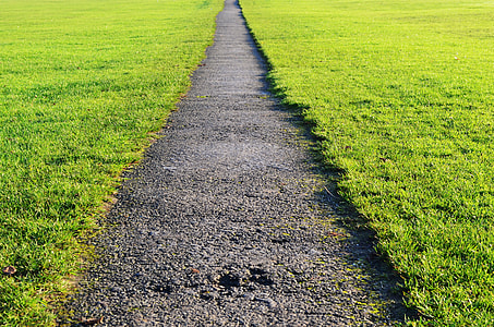 photo of pathway between grass lawn thumbnail