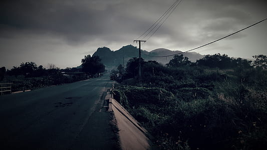 Gray Concrete Road Surrounded by Trees thumbnail