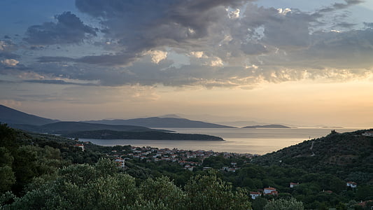 landscape photography of forest trees and sea at daytime thumbnail