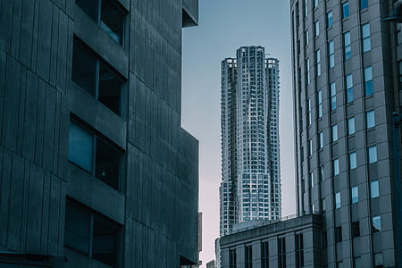high rise buildings at daytime thumbnail