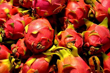 red fruits thumbnail