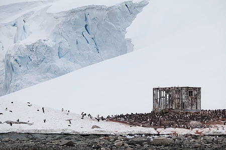 gray concrete house near ice burg at daytime thumbnail