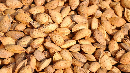 brown seed lot thumbnail