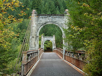 concrete bridge surround by tree thumbnail