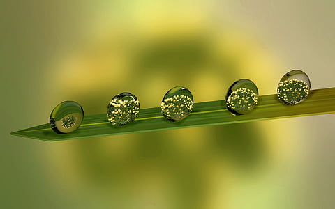 macro shot photography of water drop on leaf thumbnail