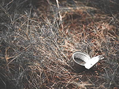 open tin can on bird nest thumbnail