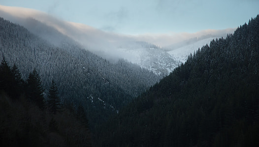 selective photo of black and gray mountains under blue sky at daytime thumbnail