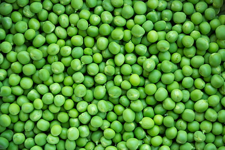 green beans lot thumbnail