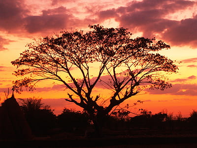 dawn, landscape, nature, sky thumbnail