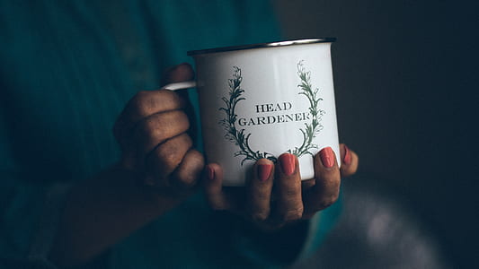 person holding white and multicolored enamel mug thumbnail