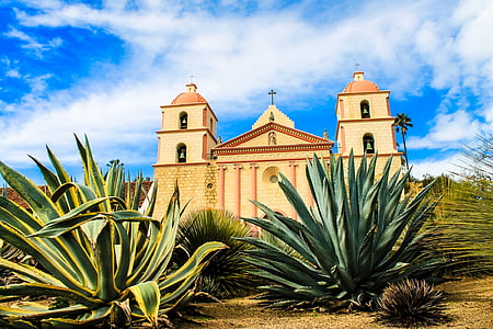 beige church surrounded with green leafed plants thumbnail
