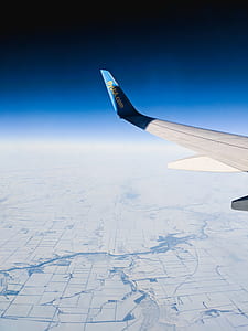 white and blue aircraft wing thumbnail