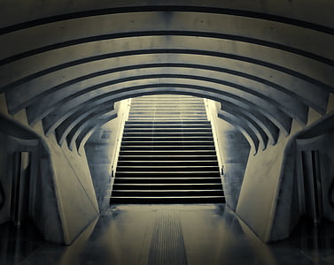 architecture photography of staircase thumbnail