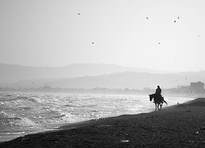 horseback on beach thumbnail