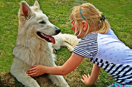 woman touching white dog thumbnail