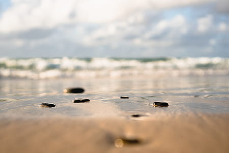 Selective Focus Photography of Shoreline thumbnail