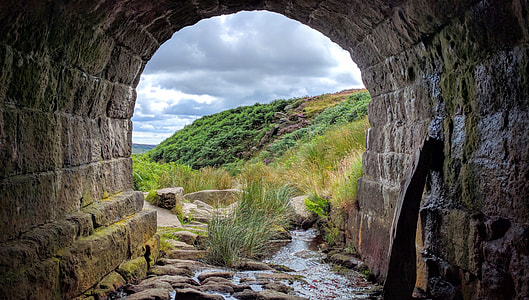 Landscape of England through a tunnel thumbnail