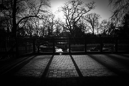 grayscale photo of empty park thumbnail