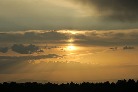 silhouette of trees under golden hour thumbnail