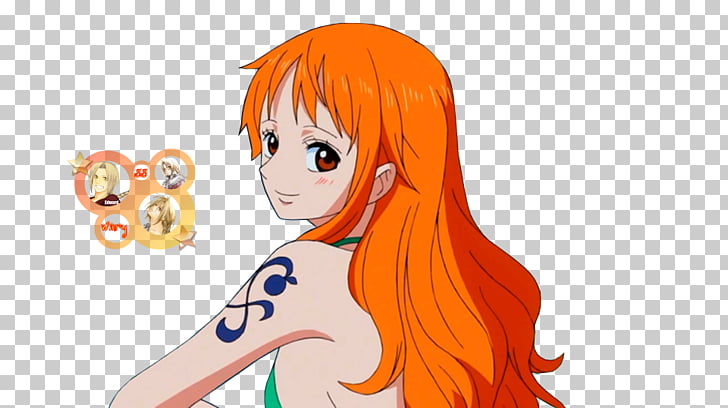Nami Monkey D Luffy One Piece Pirate Warriors Gol D Roger One