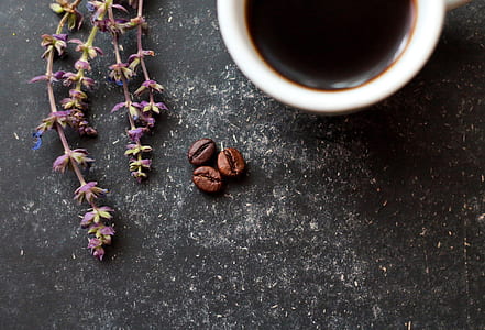 three brown coffee beans beside white ceramic mug thumbnail
