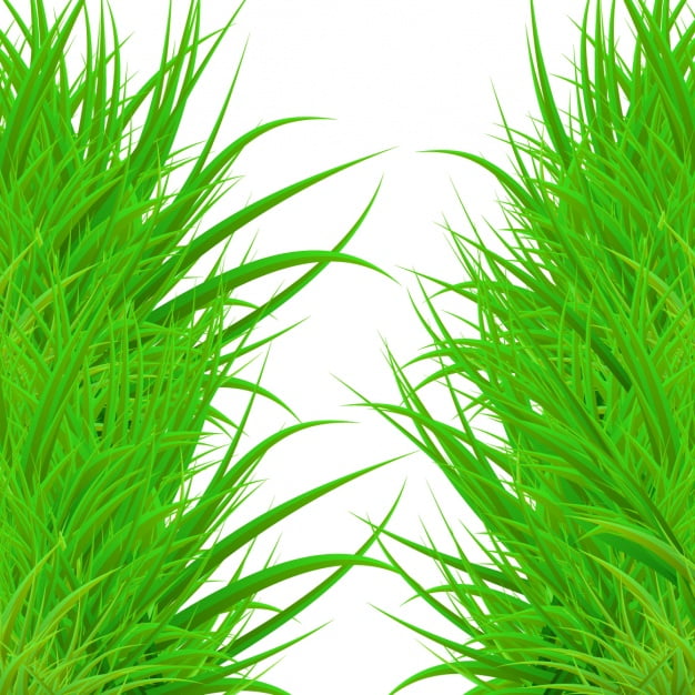 Download 960 Koleksi Background Aquarium Langit HD Gratis